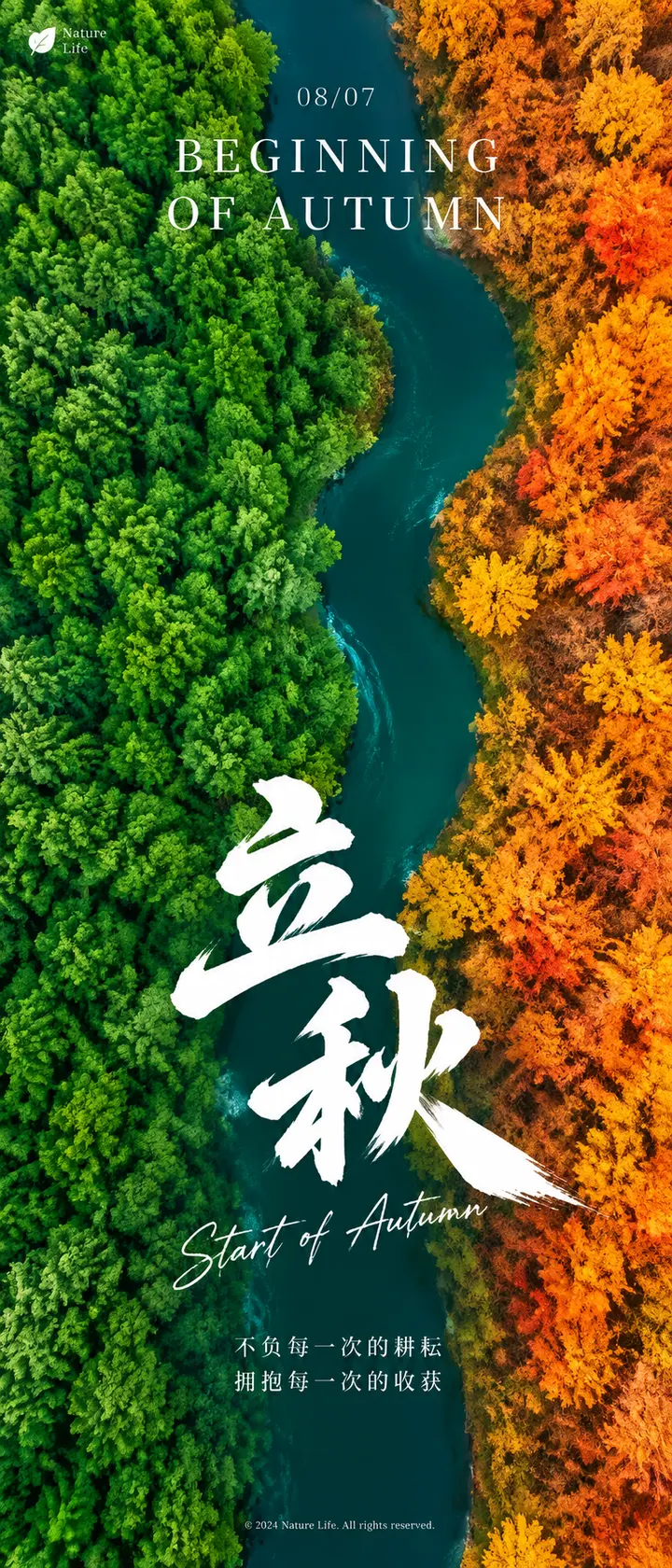 立秋节气平面海报AI提示词 航拍河流分割森林秋色