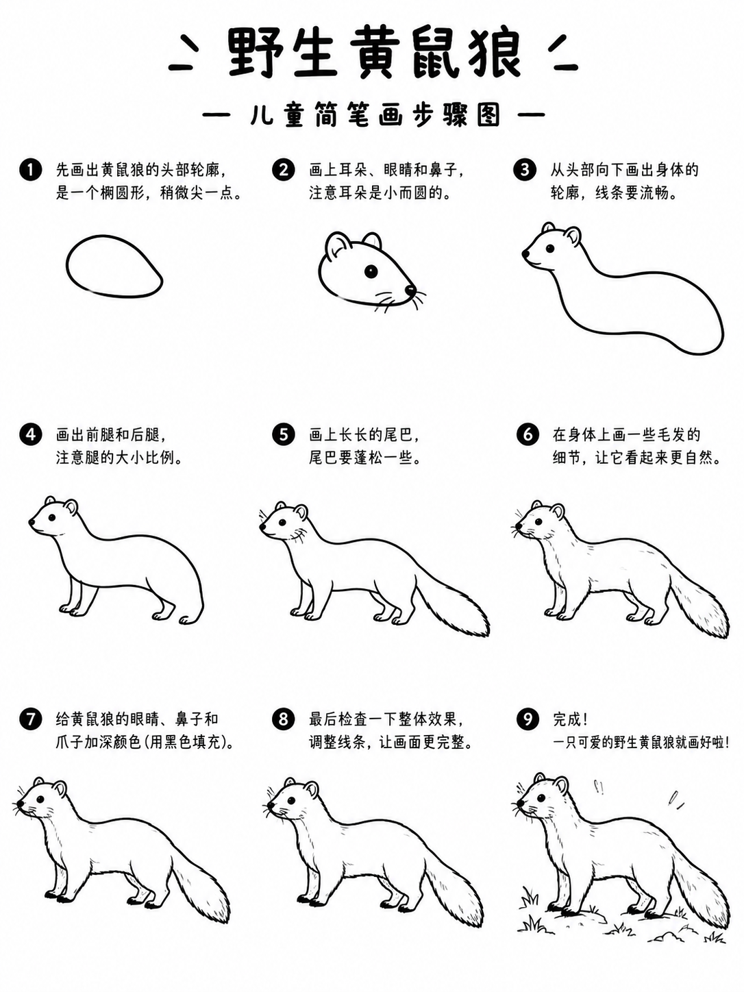 宝宝简笔画蓬松尾巴野生黄鼠狼