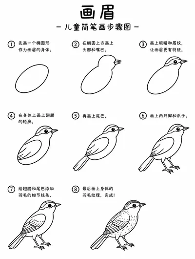 一看就会的画眉简笔画步骤图