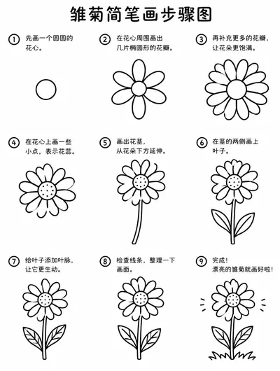 幼儿简笔画：雏菊怎么画