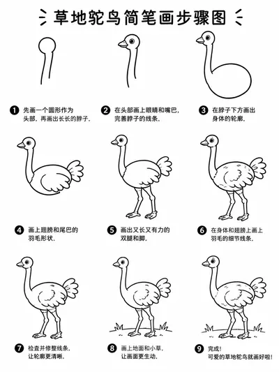 简笔画呆萌草地鸵鸟零基础也能画
