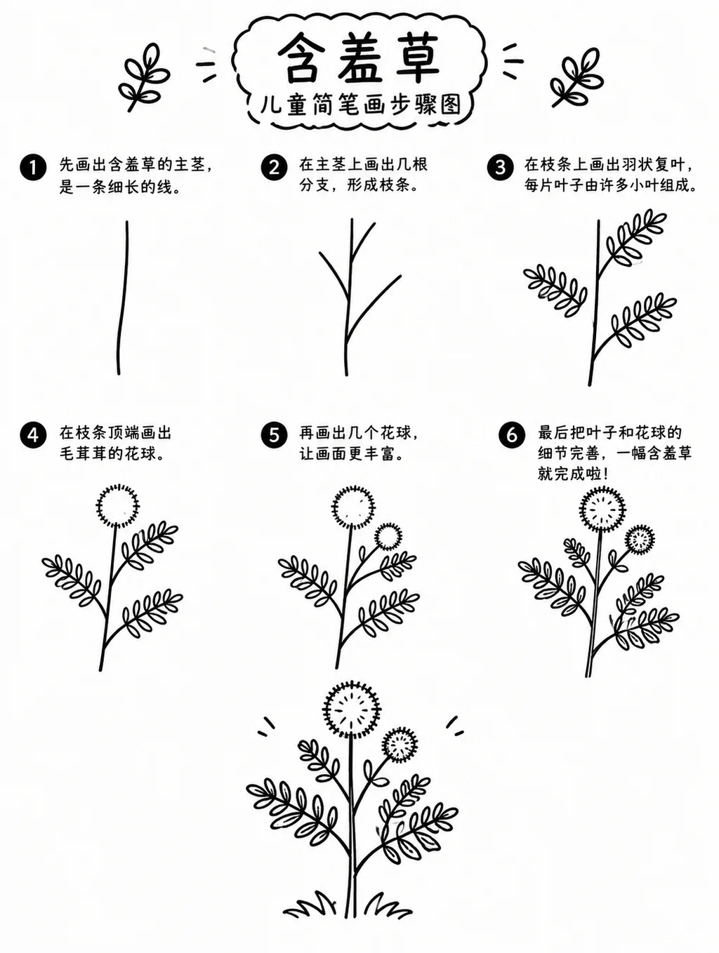含羞草简笔画图片与步骤