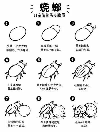 简笔画教程：蜣螂推粪球怎么画