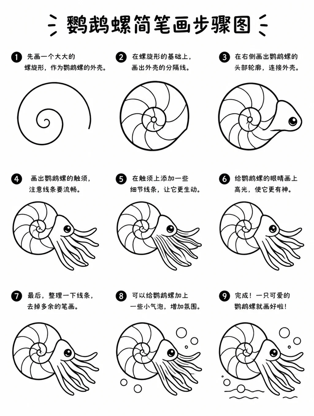 简笔画教程：鹦鹉螺的画法与步骤图