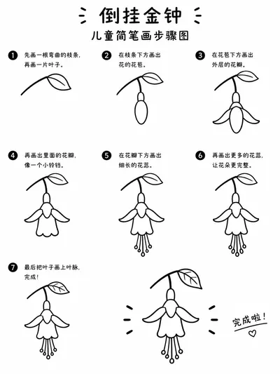 简笔画大全教你勾出柔美倒挂金钟