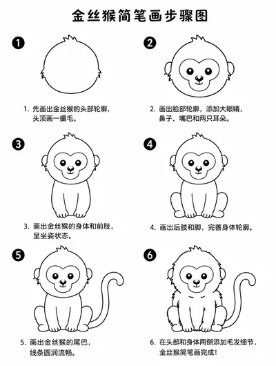 教你画金丝猴简笔画步骤