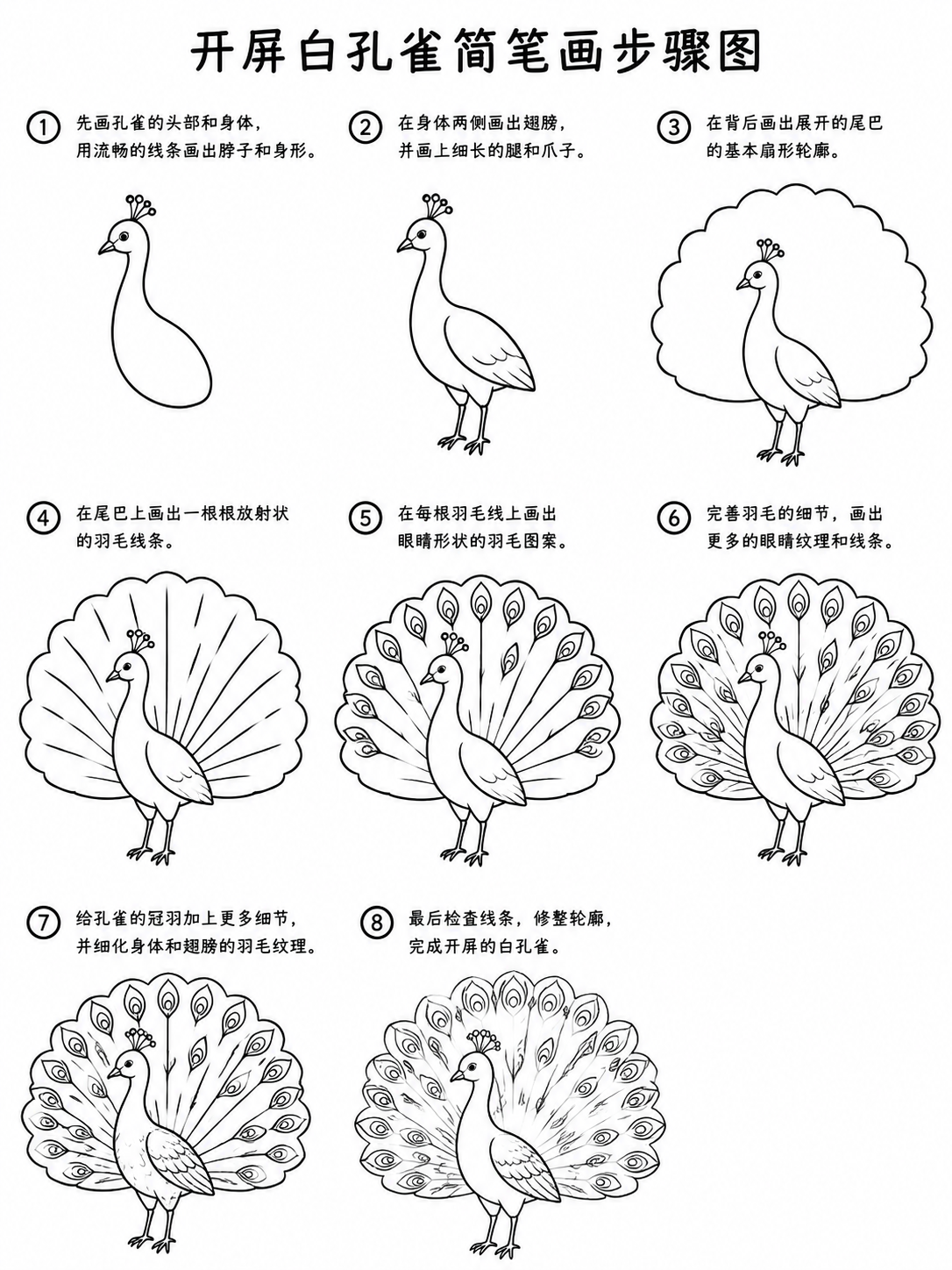 少儿简笔画：优雅开屏白孔雀