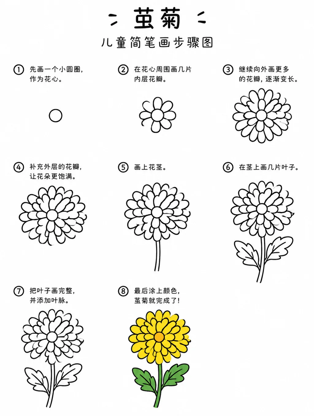 简单简笔画茧菊画法大全