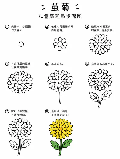 简单简笔画茧菊画法大全