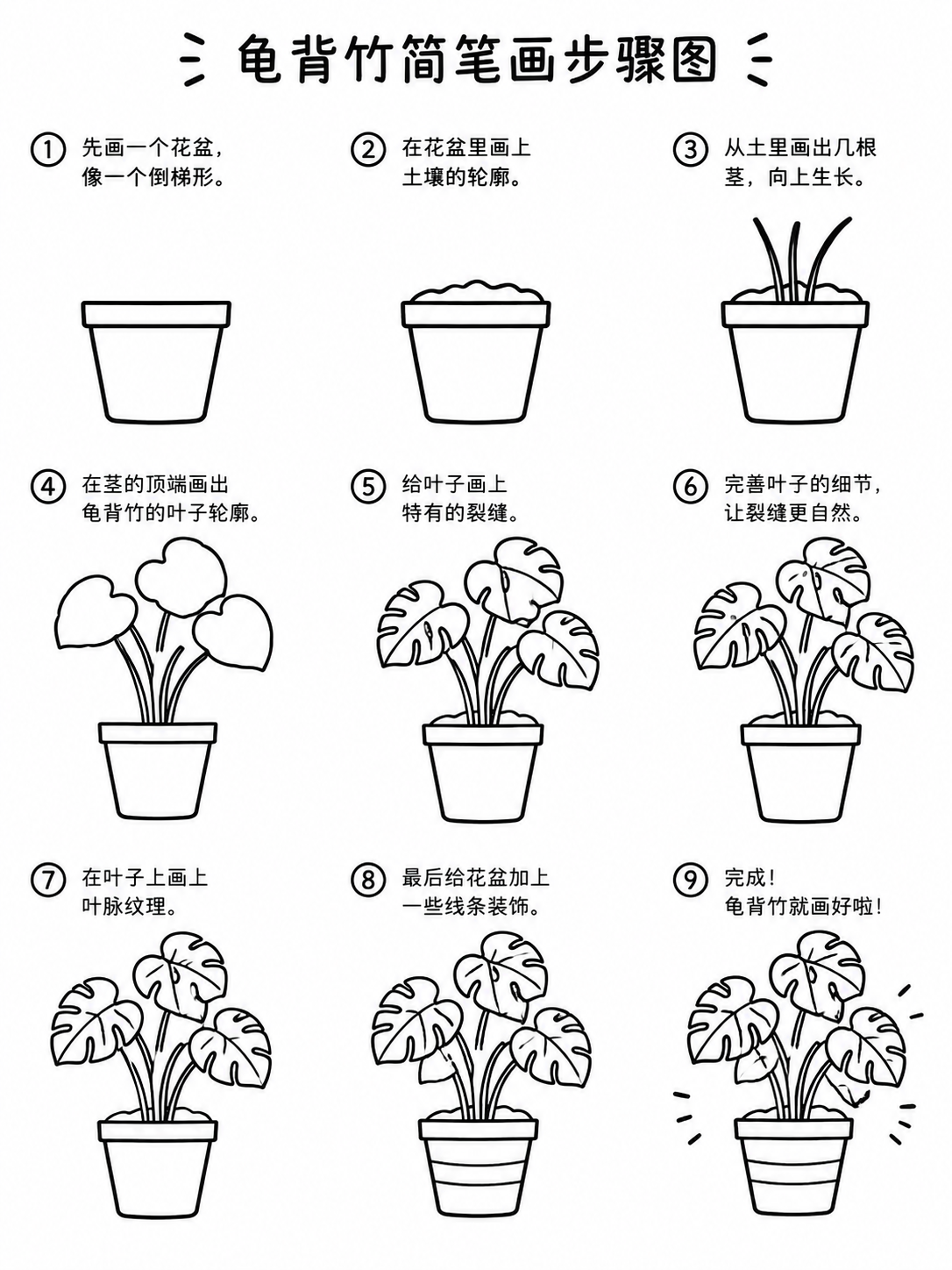 龟背竹简笔画 盆土茎叶循序入画