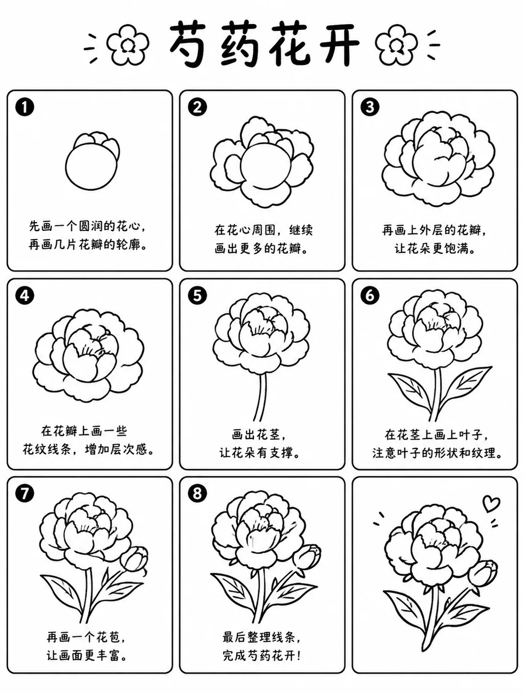 芍药花开简笔画步骤图教程