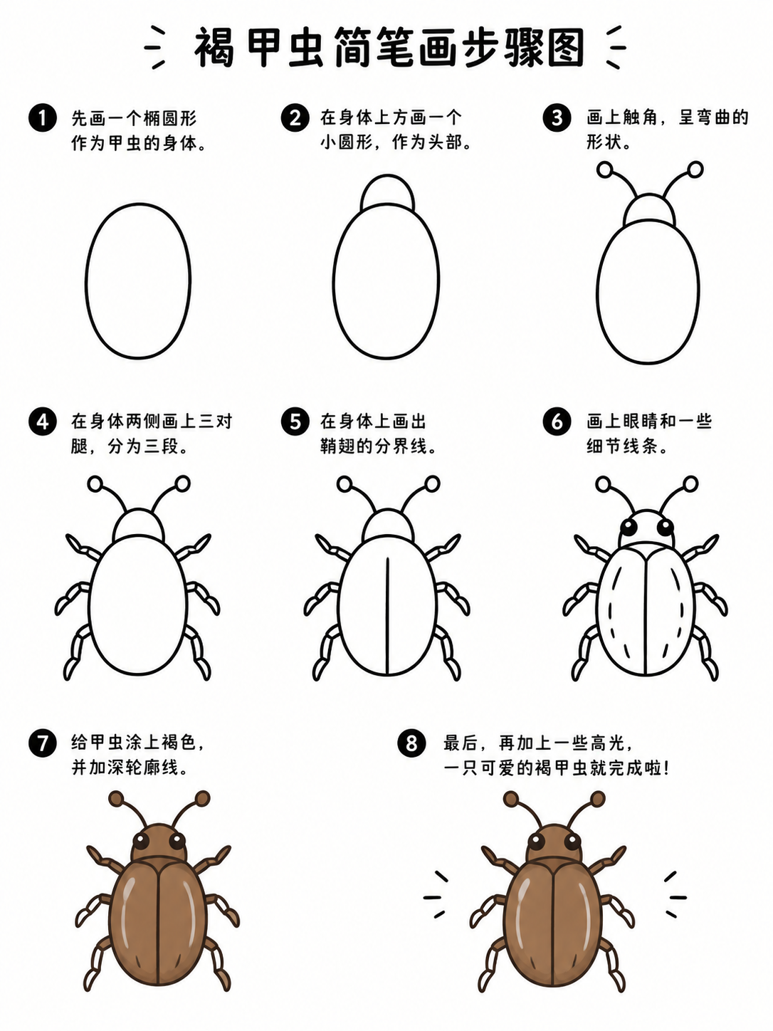 褐甲虫简笔画七步画出憨态
