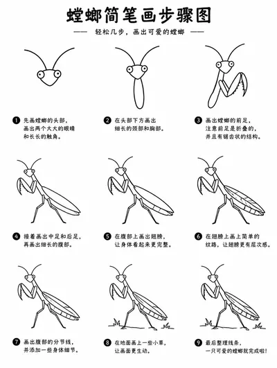 一看就会的儿童简笔画螳螂