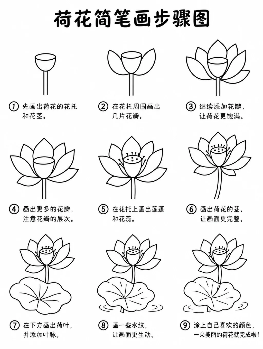 教你怎么画荷花的简笔画