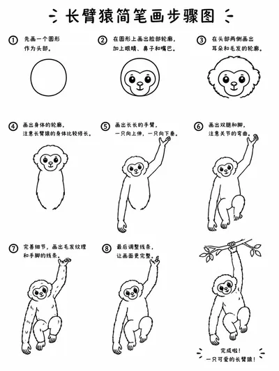 学前简笔画修长手臂的长臂猿