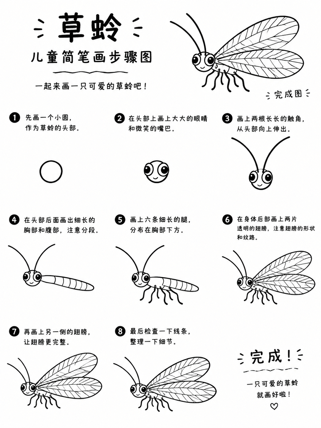 草蛉简笔画 八步画出轻盈小精灵