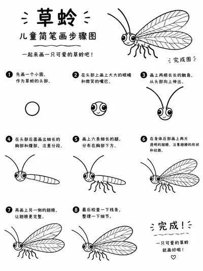 草蛉简笔画 八步画出轻盈小精灵