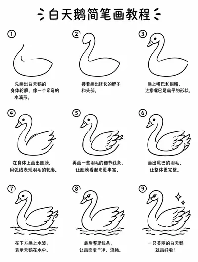 一步步教孩子画白天鹅的简笔画步骤图