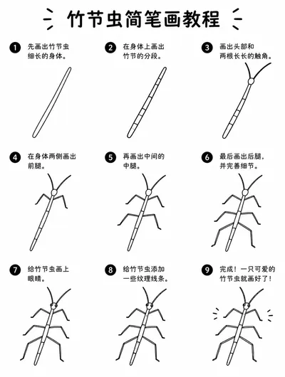 简单易学的竹节虫简笔画画法