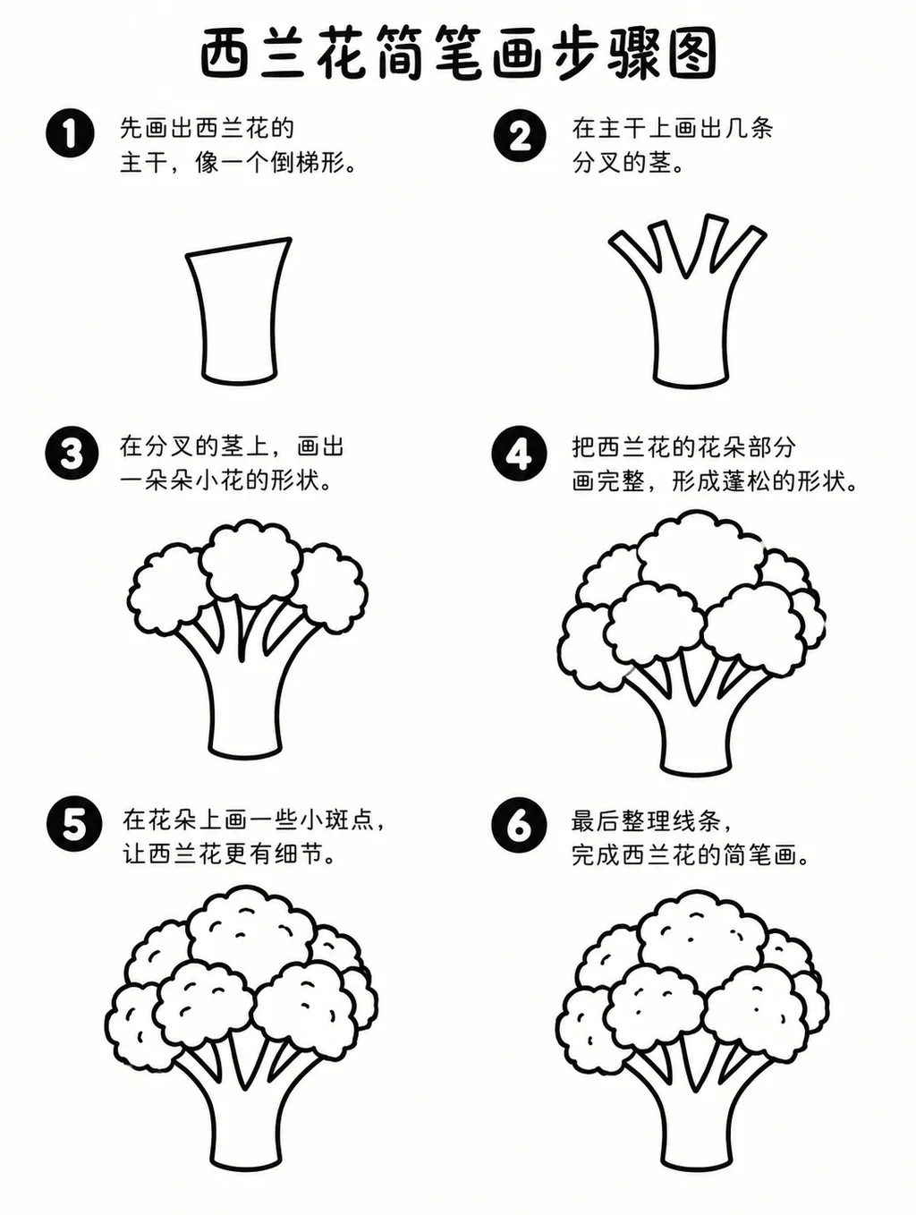 简笔画教程：教你画西兰花