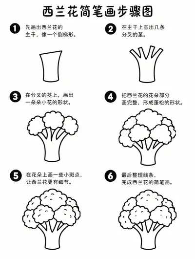 简笔画教程：教你画西兰花