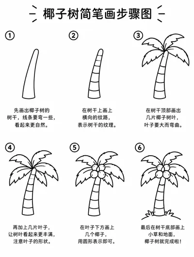 简笔画椰子树步骤图：儿童画法轻松学