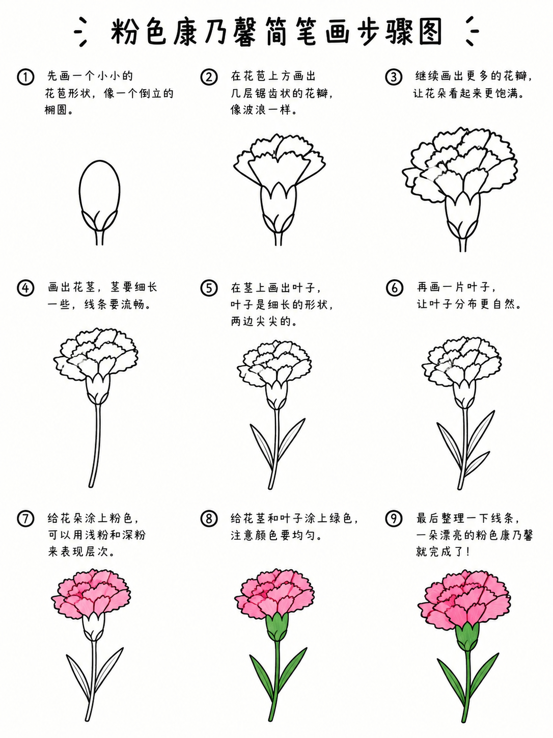 粉色康乃馨小学生简笔画，九步画出温柔感