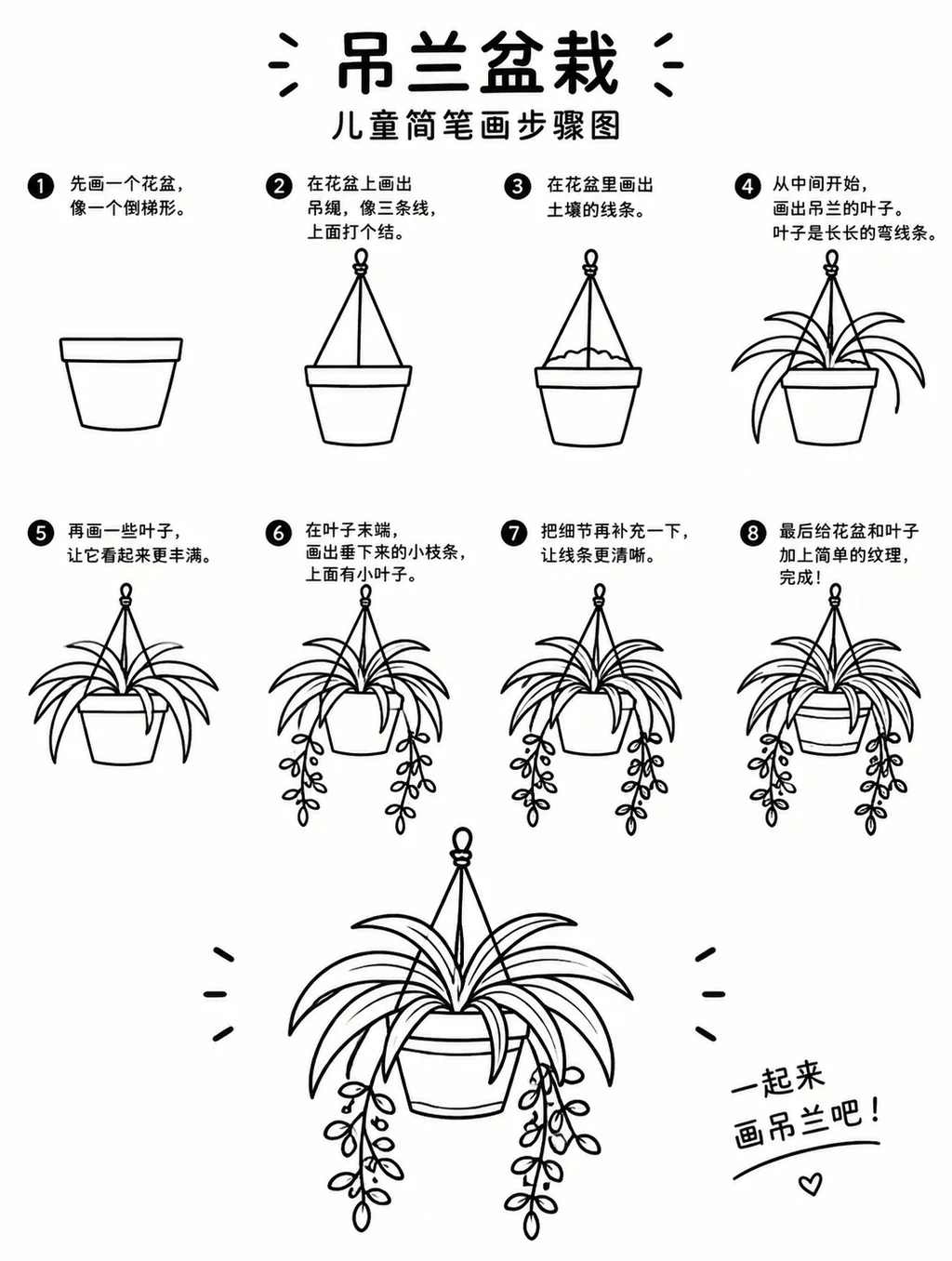 一步一步教你画吊兰盆栽简笔画