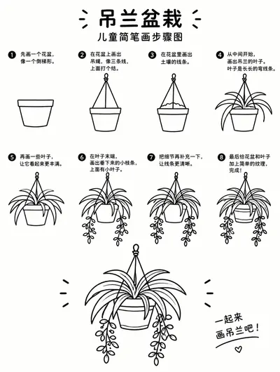 一步一步教你画吊兰盆栽简笔画