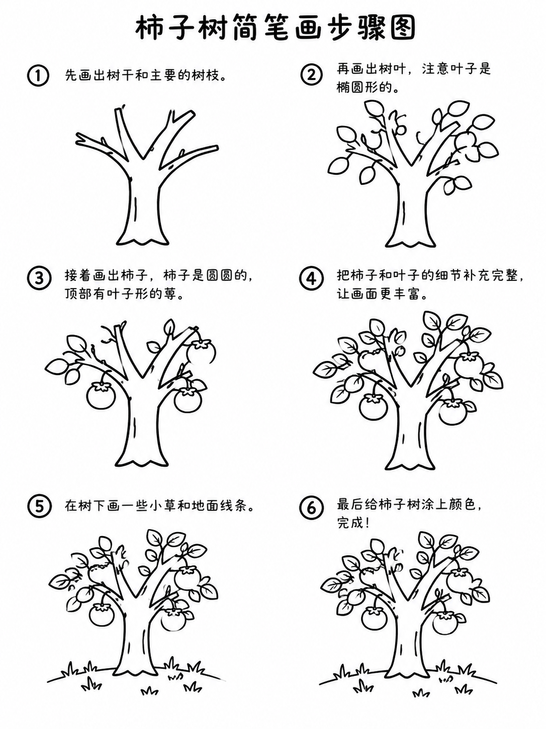 柿子树简笔画素描 挂满枝头的农家小景