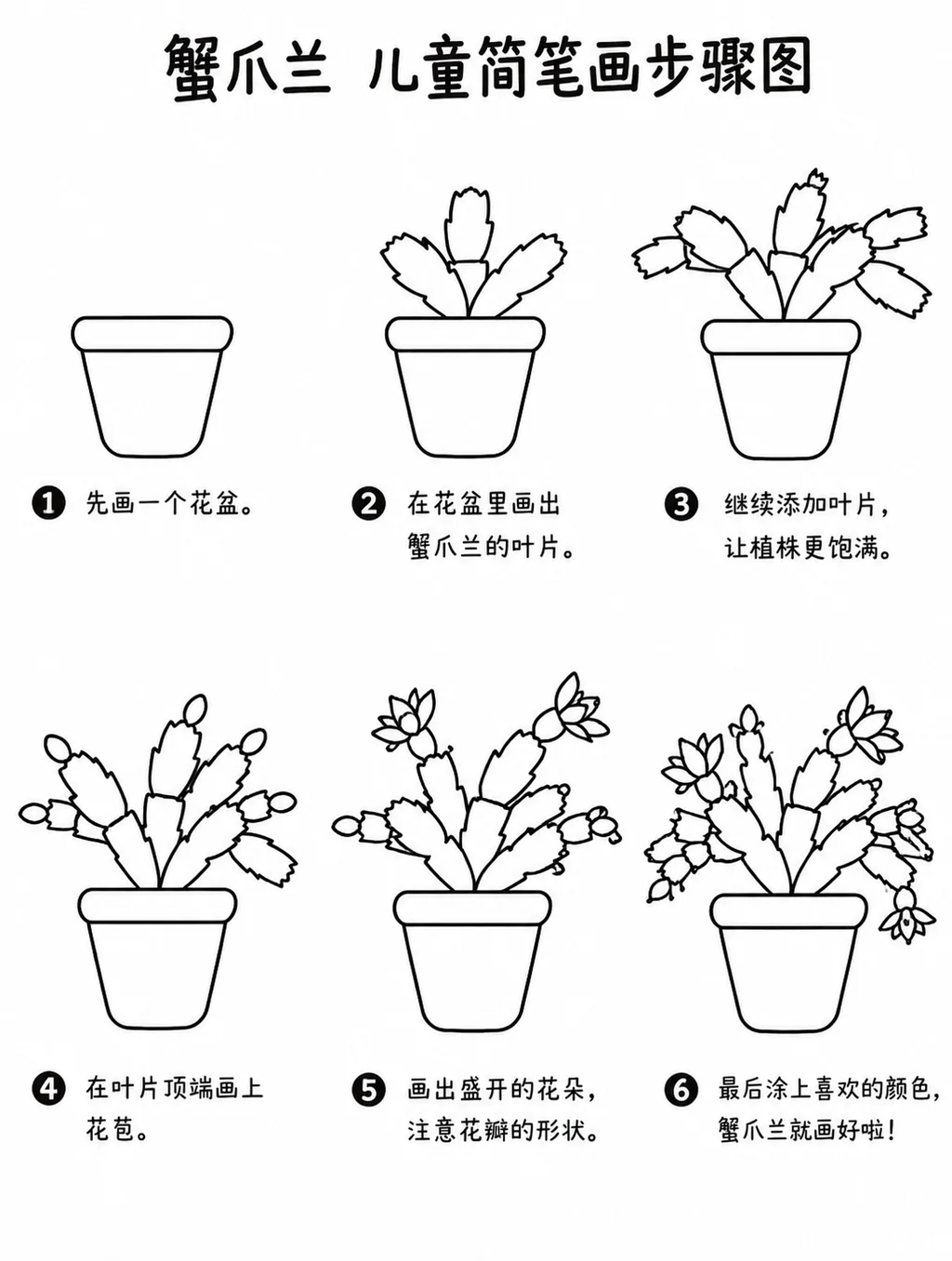 儿童简笔画层层叠叶蟹爪兰