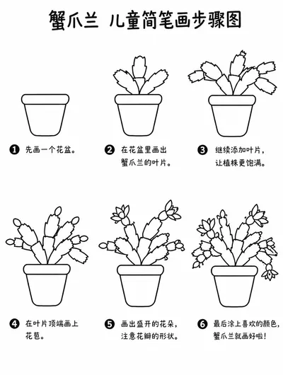 儿童简笔画层层叠叶蟹爪兰