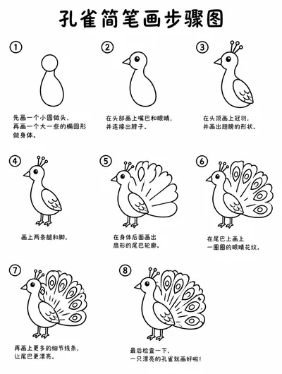 孔雀简笔画步骤图教程