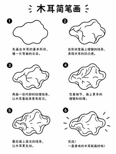 简笔画教程：木耳怎么画