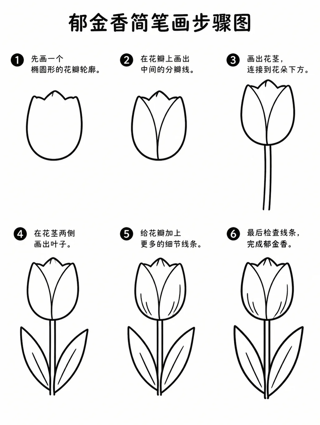 零基础也能画的郁金香简笔画步骤
