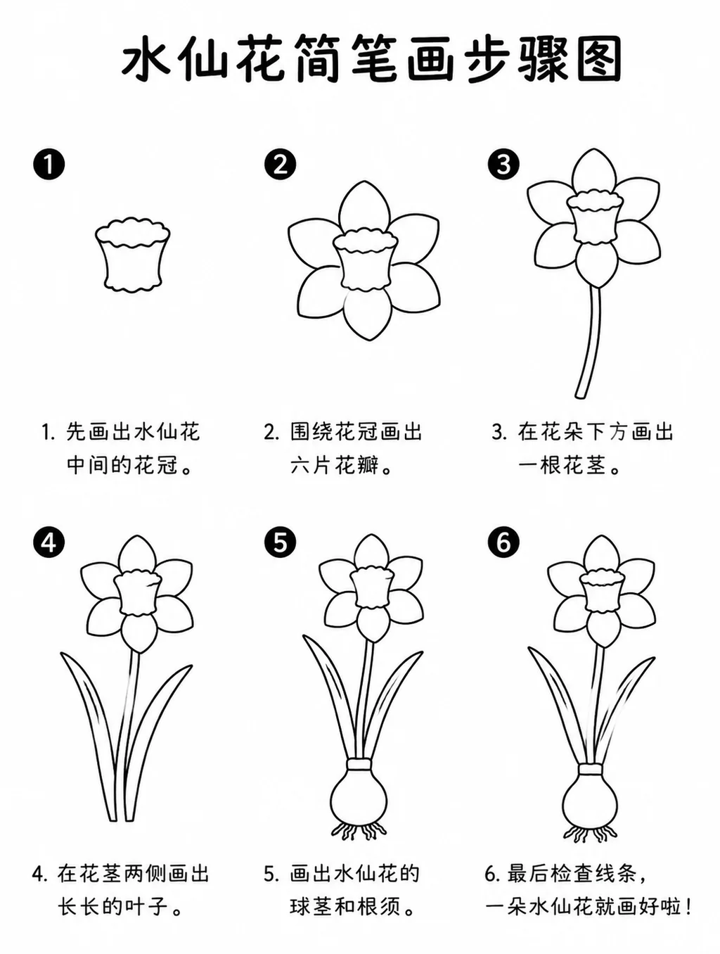 水仙花简笔画手绘画出清雅花姿