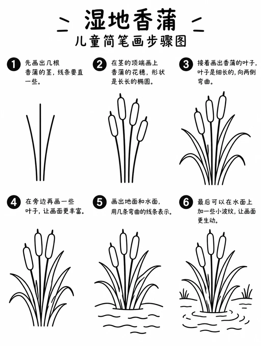 简单简笔画：湿地香蒲画法大全