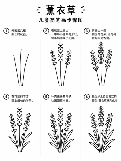 简单简笔画：薰衣草怎么画
