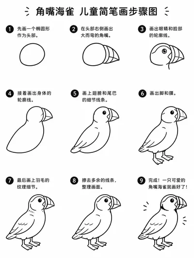 角嘴海雀画法大全：儿童简笔画步骤图