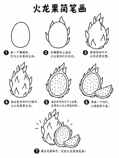 火龙果简笔画大全与步骤图