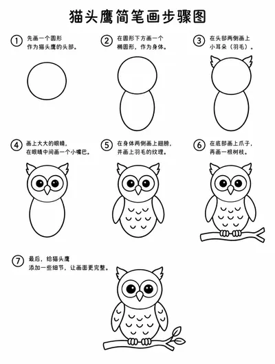 儿童简笔画猫头鹰，圆润呆萌好上手