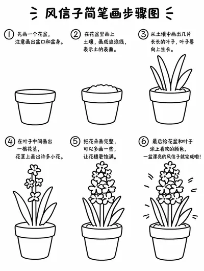 零基础也能画的风信子简笔画教程