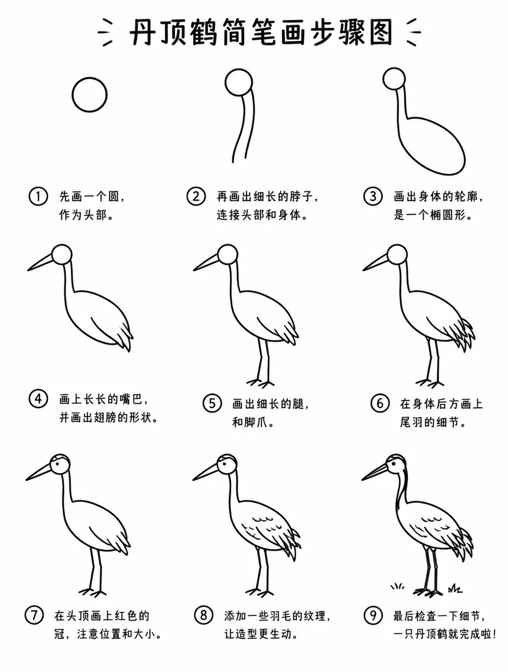 简笔画怎么画丹顶鹤才简单？