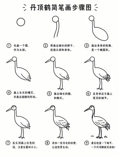 简笔画怎么画丹顶鹤才简单？