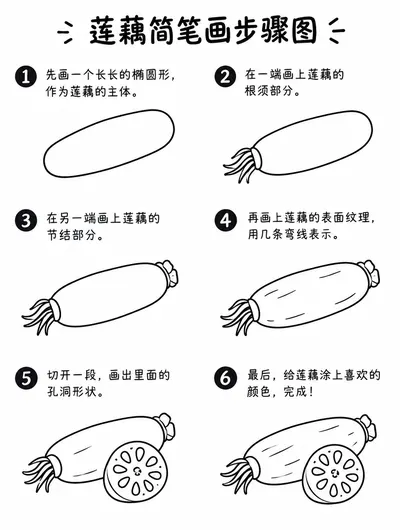 零基础也能画的莲藕简笔画步骤图