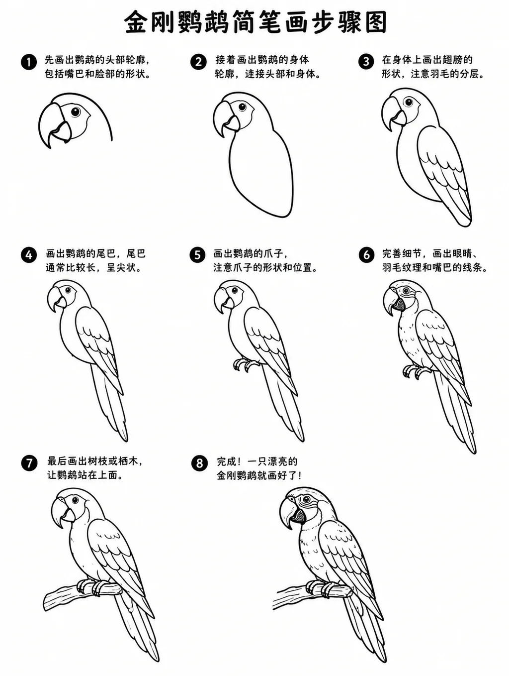 简单易学的金刚鹦鹉简笔画