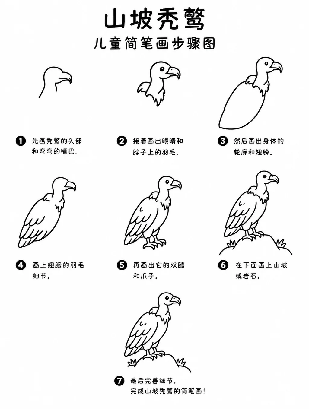 山坡秃鹫简笔画步骤图教程